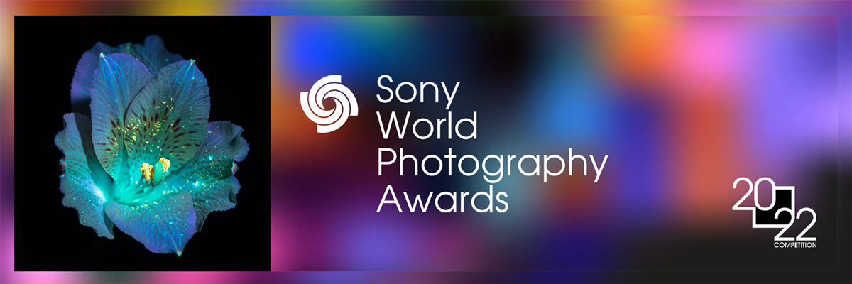 debora lombardi tra i finalisti del sony world photography awards 2022 con le sue foto uvivf
