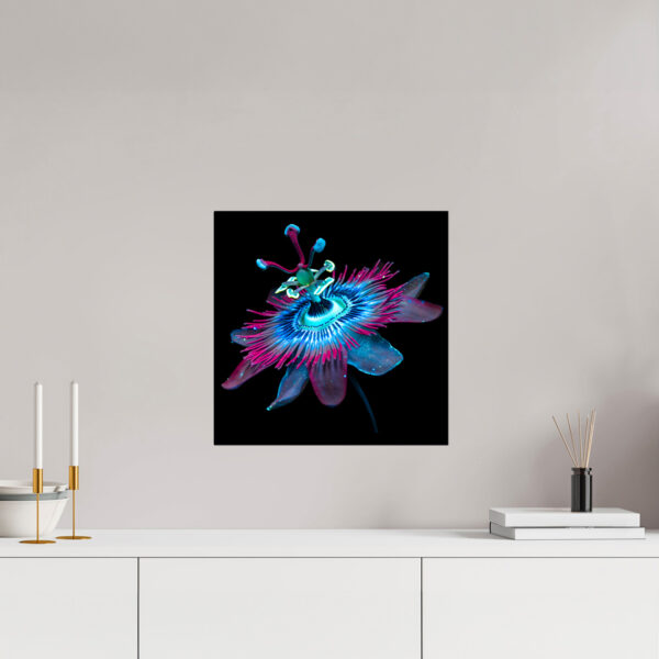 Passiflora Ultraviolet - immagine 2